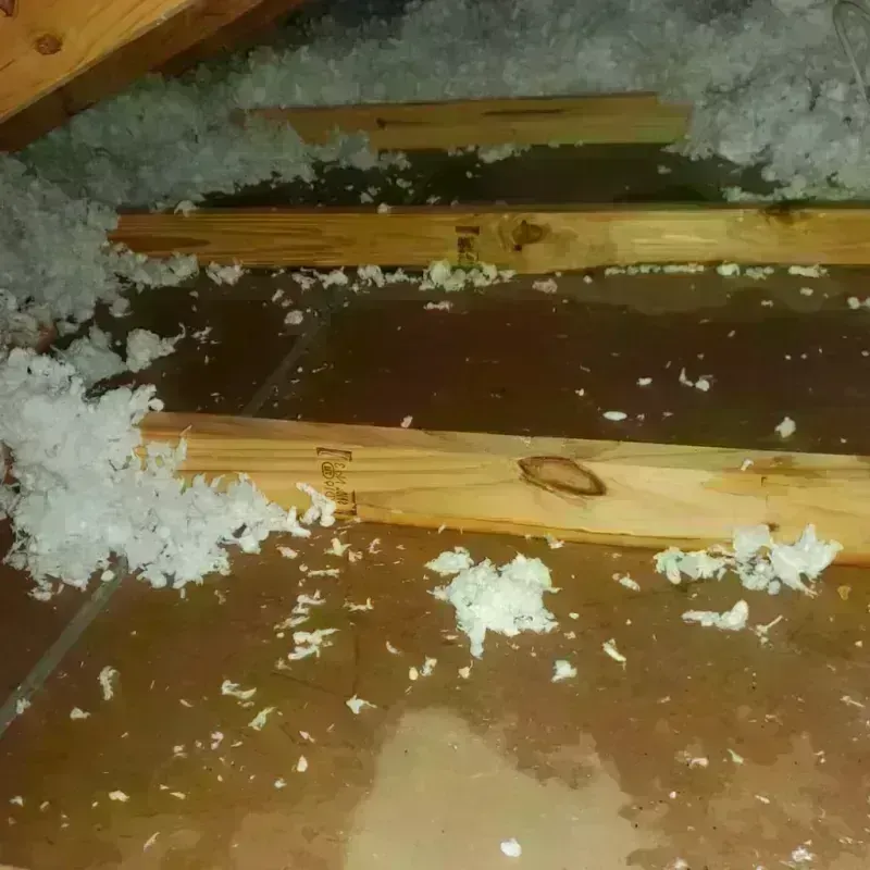 Attic Water Damage in Campbellsport, WI